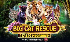 Big Cat Rescue Megaways jogo online no 166bet