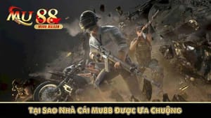 Recursos exclusivos do app 166bet